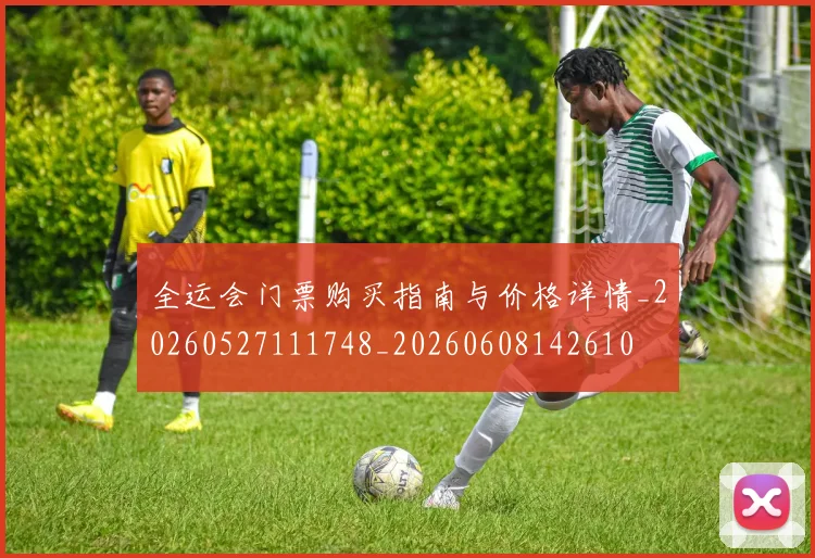 全运会门票购买指南与价格详情_20260527111748_20260608142610