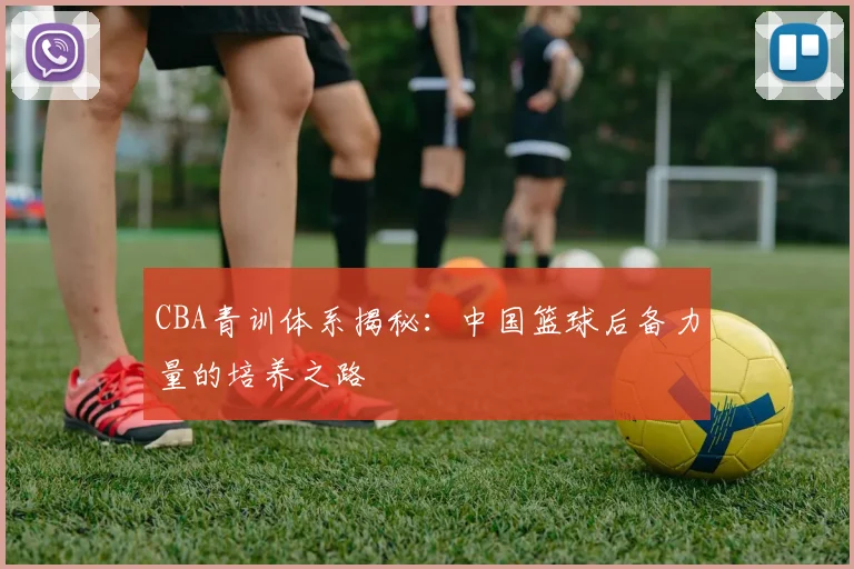 CBA青训体系揭秘：中国篮球后备力量的培养之路